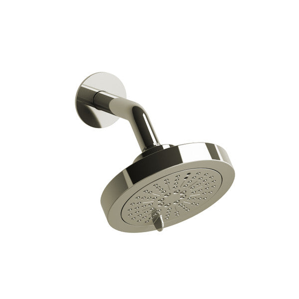 Stainless steel showerhead