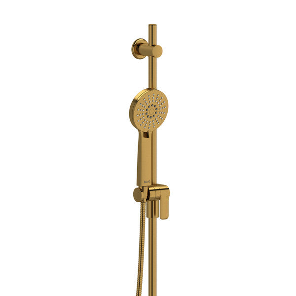 Gold showerhead with handheld sprayer and adjustable mount