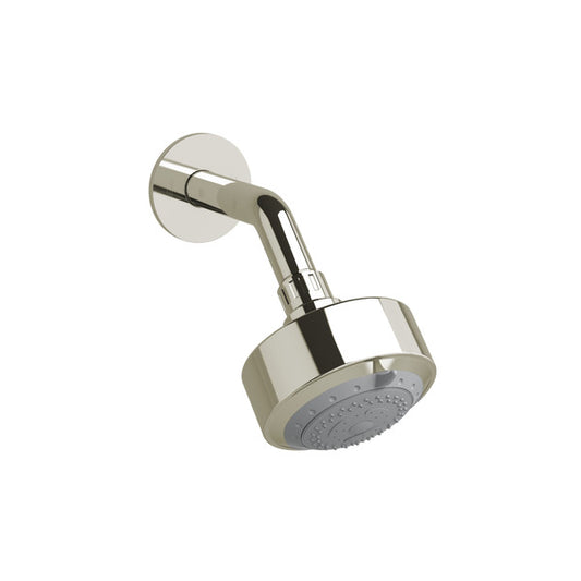 Wall-mounted stainless steel showerhead